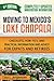 Moving to Mexico's Lake Chapala: Checklists, How-To's, and Practical Information and Advice for Expats and Retirees