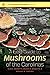 A Field Guide to Mushrooms of the Carolinas (Southern Gateways Guides)