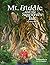 Mr. Biddle and the Squirrel's Tale