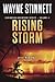 Rising Storm: A Jesse McDermitt Novel (Caribbean Adventure Series)
