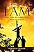 Ambassadors of I Am by Donald R. Turner
