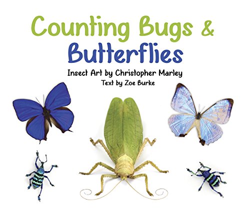 Counting Bugs and Butterflies: Insect Art by Christopher Marley (Hardcover)
