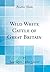 Wild White Cattle of Great ...