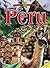 Peru (Exploring Countries)