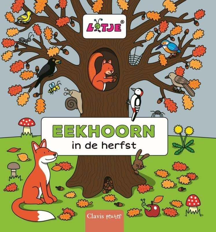 Eekhoorn in de herfst (Hardcover)