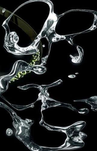 Orgs: From Slime Mold To Silicon Valley And Beyond (Paperback)