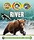 Life Cycles: River