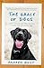 The Grace of Dogs by Andrew Root