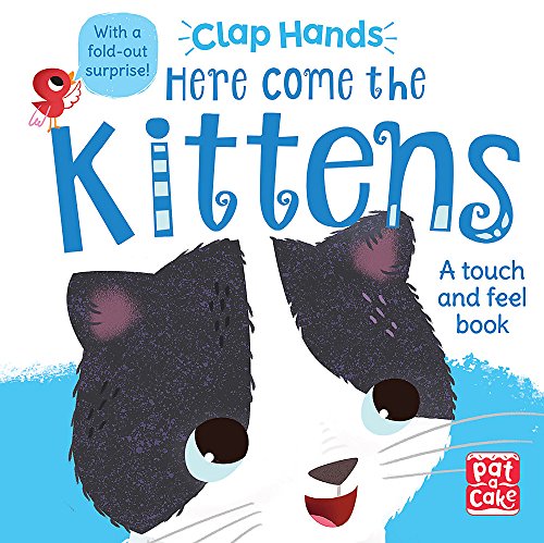 Clap Hands Here Come the Kittens (Hardcover)