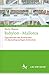 Babylon - Mallorca: Figurationen des Komischen im deutschsprachigen Exilroman (Schriften zur Weltliteratur/Studies on World Literature, 6) (German Edition)