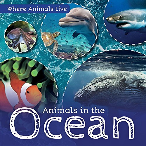 Animals in the Ocean (Where Animals Live)