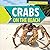 Crabs on the Beach by Jonathan Potter
