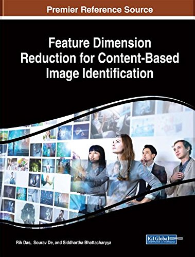 Feature Dimension Reduction for Content-Based Image Identification (Advances in Multimedia and Interactive Technologies)