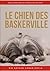 Le Chien des Baskerville (French Edition)