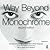 Way Beyond Monochrome 2e: Advanced Techniques for Traditional Black & White Photography including digital negatives and hybrid printing