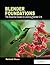 Blender Foundations: The Essential Guide to Learning Blender 2.5