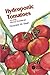 Hydroponic Tomatoes