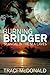 Burning Bridger: Scandal in...