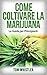 Come Coltivare la Marijuana...