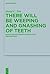 There Will Be Weeping and Gnashing of Teeth: Essays on Matthew’s Apocalyptic Eschatology (Beihefte Zur Zeitschrift Für Die Neutestamentliche Wissenschaft, 230)