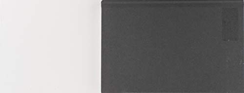 Elements of a Philosophy of Technology: On the Evolutionary History of Culture (Posthumanities)