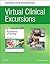 Virtual Clinical Excursion ...