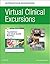 Virtual Clinical Excursions...