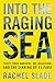 Into the Raging Sea: Thirty-Three Mariners, One Megastorm, and the Sinking of El Faro