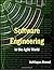Software Engineering in the...