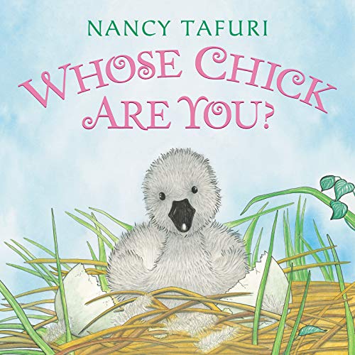 Whose Chick Are You?: An Easter And Springtime Book For Kids (Board Book)