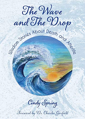 The Wave and The Drop: Wisdom Stories about Death and Afterlife (Paperback)