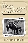 A Horse Walked Past My Window