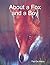 About a Fox and a Boy