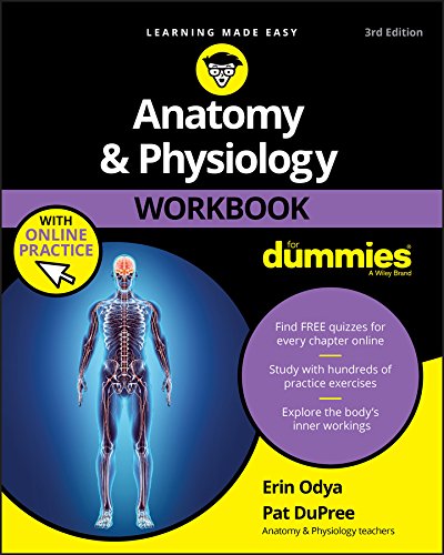 Anatomy & Physiology Workbook for Dummies with Online Practice (ebook)