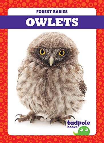 Owlets (Tadpole Books: Forest Babies)