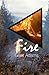 Fire: Book Three (The Eleme...
