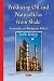 Producing Oil and Natural G...