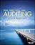 Auditing by Robyn Moroney