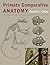 Primate Comparative Anatomy