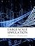 Large-Scale Simulation by Charles Fountain