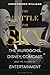The Battle for Sky: The Murdochs, Disney, Comcast and the Future of Entertainment