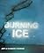 Burning Ice: Art & Climate Change