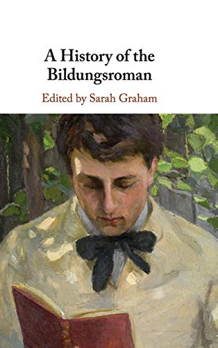 A History of the Bildungsroman (Hardcover)