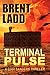 Terminal Pulse: A Codi Sanders Thriller