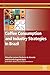 Coffee Consumption and Industry Strategies in Brazil: A Volume in the Consumer Science and Strategic Marketing Series (Woodhead Publishing Series in Consumer Science and Strategic Marketing)