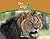Lion: The Big 5 and other w...