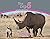 Rhino: The Big 5 and other ...
