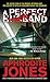 A Perfect Husband by Aphrodite Jones