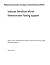 Subscale Beryllium Mirror D...