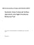 Synthetic Vision Enhanced S...